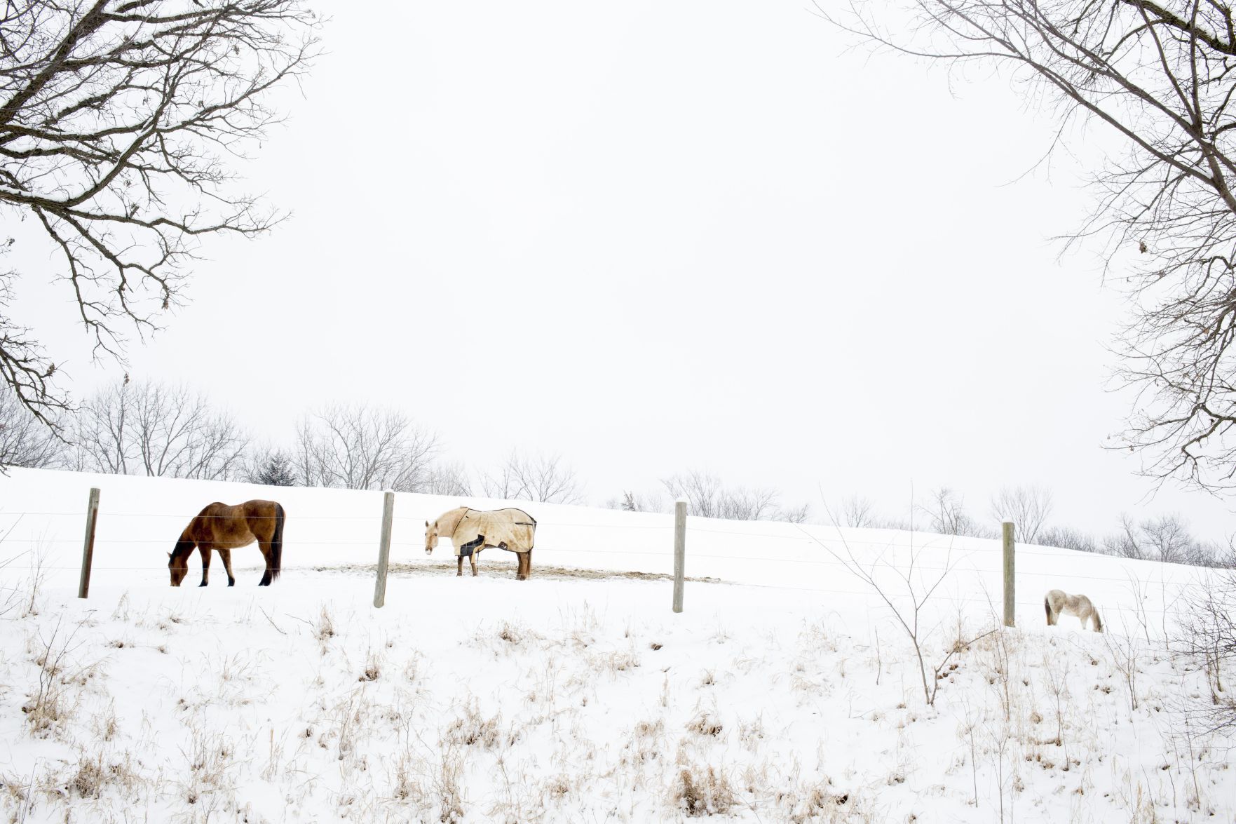 Best of Nebraska